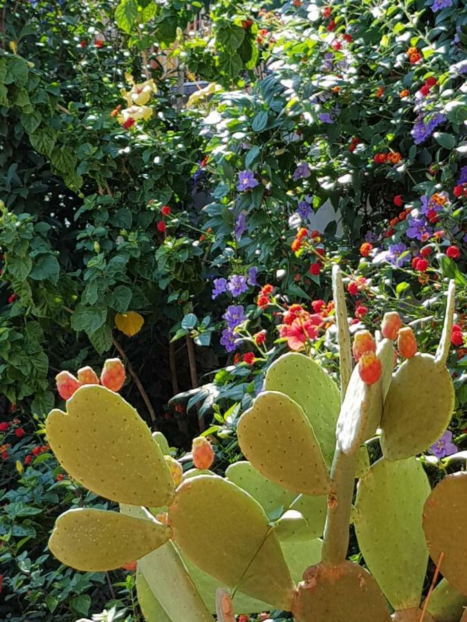 La Foresteria Garden Boutique B&B 카타니아 외부 사진